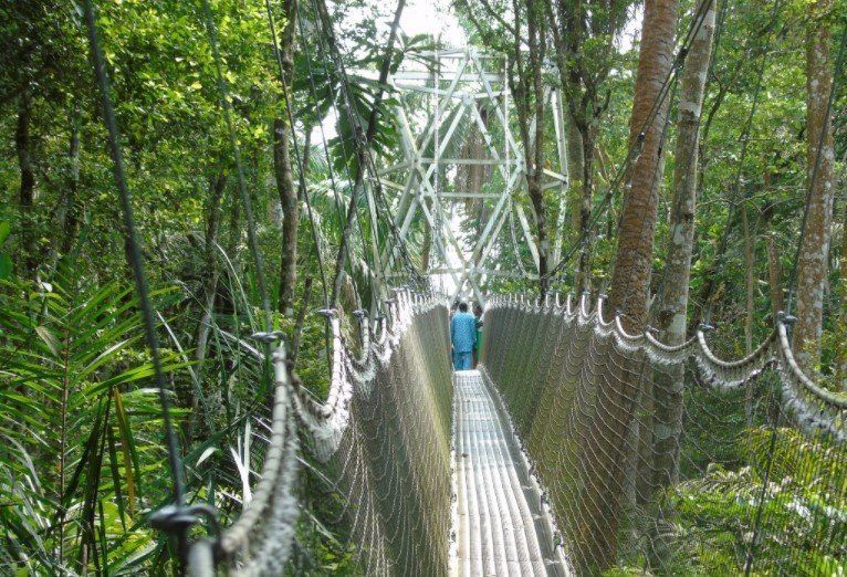 Canopy walk Lekki conservation centre, Lagos State
